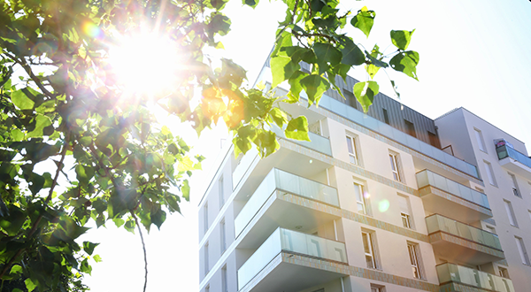 Metier construction expertise developpement immobilier premier